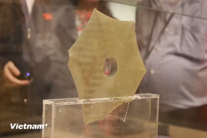 Каменный топор-бич — один из наиболее уникальных каменных артефактов экспозиции. (Фото: ВИА)