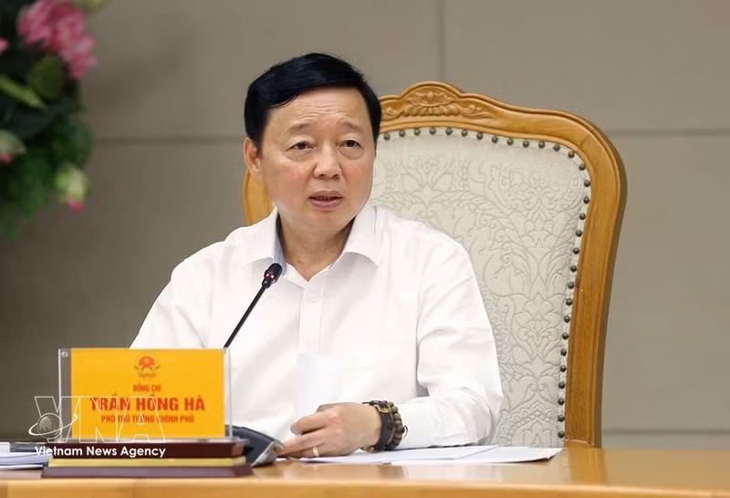 Заместитель Премьер-министра Чан Хонг Ха выступает с руководящими указаниями. (Фото: ВИА)