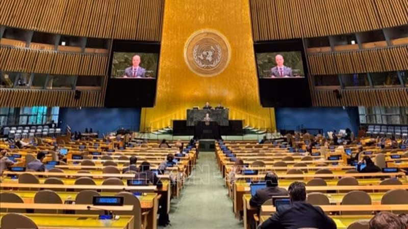 Общий вид чрезвычайной специальной сессии. Фото: ВИА