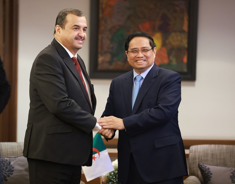 Премьер-министр Фам Минь Тьинь принимает Мохамеда Аркаба, министра энергетики Алжира. (Фото: ВИА)