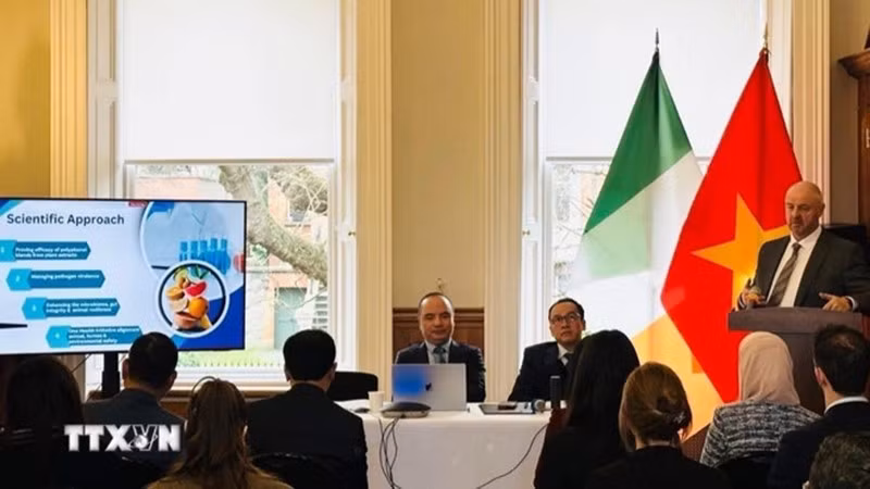 Общий вид форума. (Фото: ВИА)