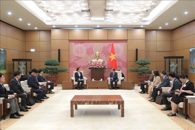 Заместитель председателя Национального собрания Ле Минь Хоан принял заместителя генерального директора по финансовым вопросам компании Samsung Electronics. (Фото: ВИА)