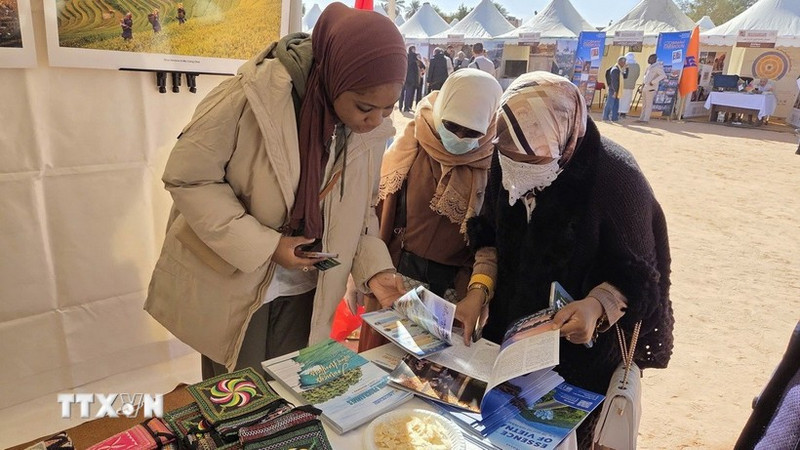 Алжирские посетители знакомятся с туристическими изданиями о Вьетнаме на фестивале. (Фото: ВИА)