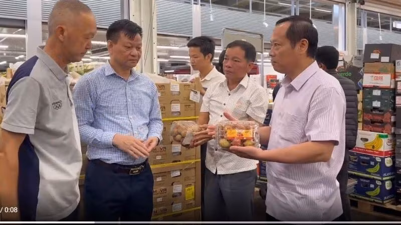 Проверка качества личи после прибытия во Францию.