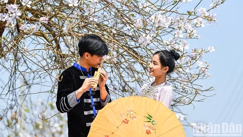 Иллюстративное фото: Тхань Дат