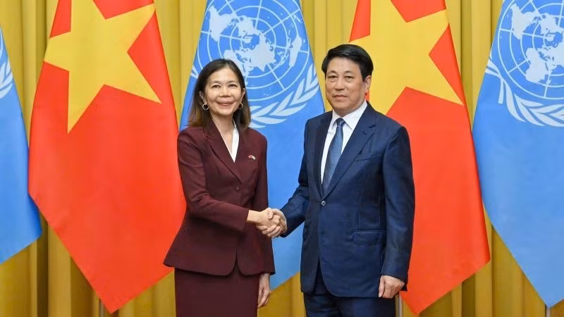 Президент Вьетнама Лыонг Кыонг и Постоянный координатор ООН Полин Тамесис во время встречи. (Фото: Тхюи Нгуен)