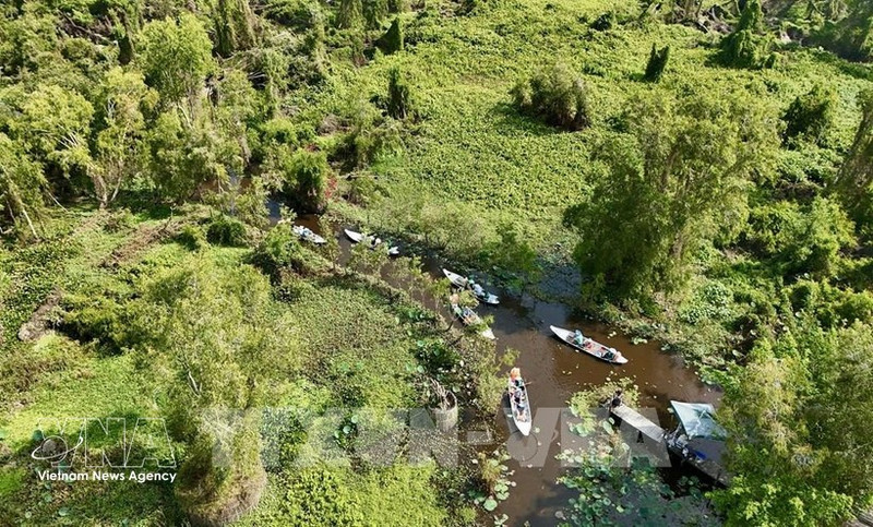 В 2026 году будет завершено формирование базы данных о лесах в целях адаптации к Регламенту ЕС о регулировании импорта и экспорта продукции, не связанной с обезлесением и деградацией лесов. (Фото: ВИА)