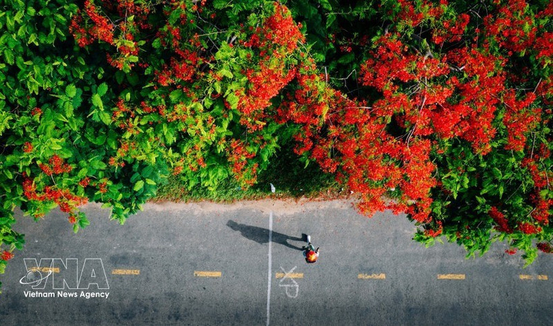В преддверии праздников по случаю Дня воссоединения страны 30 апреля и Первомая вьетнамские туристы все чаще выбирают зарубежные поездки на близкие расстояния и нестандартные форматы отдыха. (Иллюстративное фото: ВИА)