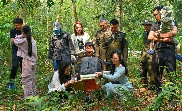 Диких животных выпускают обратно в естественную среду обитания. Фото: предоставлено Департаментом лесного хозяйства и охраны лесов.