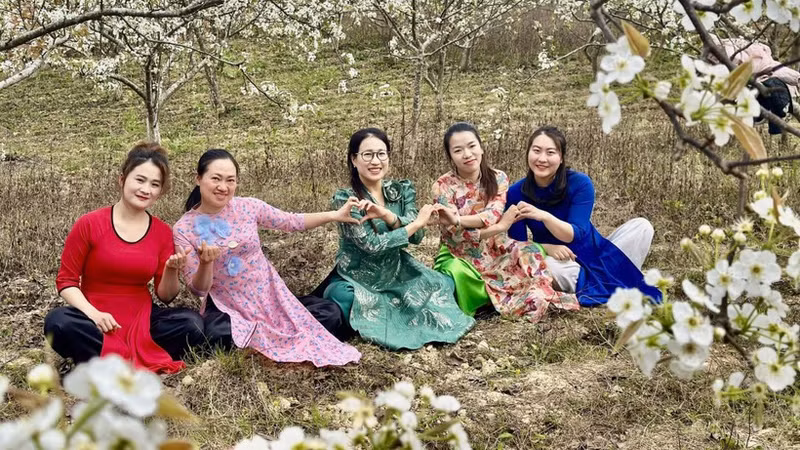 Грушевый сад цветет белым ковром в приграничной общине Фобанг.