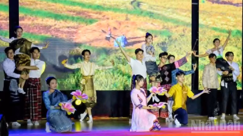 Яркая художественная программа в исполнении иностранных студентов, обучающихся во Вьетнаме, в рамках мероприятия.