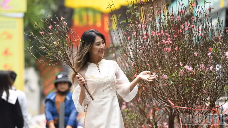 Радостные туристы на весенних прогулках. (Фото: Тхань Дат)