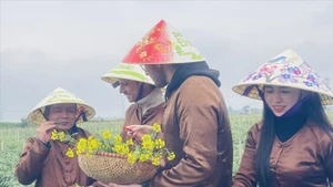 Множество жителей и туристов приходят на пляж Тхуанан в городе Хюэ, чтобы отдыхать и купаться. (Фото: ВИА)