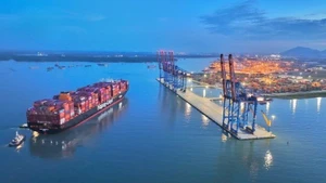 За первые два месяца 2026 года общий объём инвестиций Вьетнама за рубеж достиг 540,2 млн. долл. США