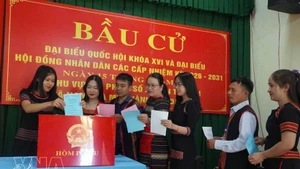 Избиратели горного района города Дананг участвуют в голосовании. (Фото: ВИА)