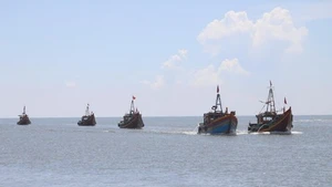 Нгеан активизирует меры по устранению «жёлтой карточки» ЕС