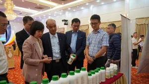 Делегаты посещают выставочный зал на конференции, посвященной обзору реализации национальной программы поддержки экосистемы стартапов на 2022–2025 годы. (Фото: ВИA)