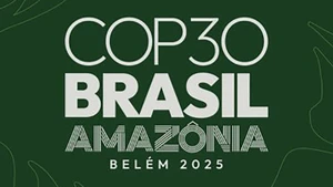 Фото: https://cop30.br