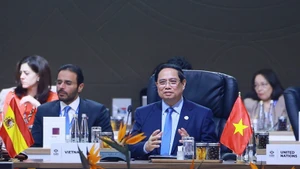 Премьер-министр Фам Минь Тьинь выступает на саммите. (Фото: VGP)