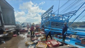 Морепродукты с рыболовного судна выгружаются в рыболовном порту Биньчау в Хошимине. (Фото: ВИА)