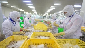 Фото: tuoitre.vn