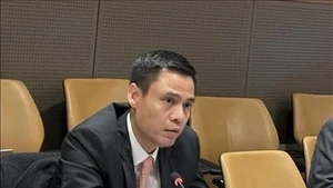 Заместитель министра иностранных дел Данг Хоанг Зянг. (Фото: ВИА)