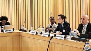 Посол До Хунг Вьет председательствует на консультационном семинаре. (Фото: ВИА)