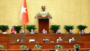 Национальное собрание работает в зале заседаний. (Фото: ВИА)