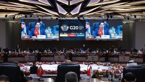 Премьер-министр Фам Минь Тьинь предложил три стратегических приоритета на саммите G20. (Фото: ВИА)