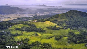 Красота террасовых полей Миендой (провинция Футхо) ничем не уступает известным регионам с террасовыми полями, таким как Лаокай. (Фото: ВИА)