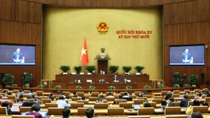 Общий вид пленарного заседания 26 ноября. (Фото: Зюи Линь)