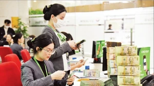 Коммерческие банки в настоящее время являются крупнейшим источником финансирования, на их долю приходится около 88% общего объёма задолженности по «зелёным» кредитам.