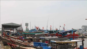 Иллюстративное изображение. (Фото: ВИА)