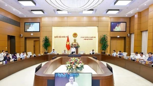 Заседание Постоянного комитета Национального собрания. (Фото: ВИА)