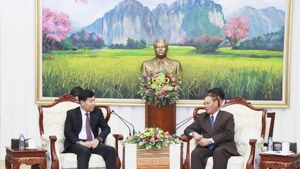 Постоянный член Секретариата ЦК Народно-революционной партии Лаоса Вилай Лакхамфонг (справа) принимает заместителя министра иностранных дел Вьетнама Нгуен Мань Кыонга. (Фото: ВИА)