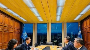 Посол Май Фан Зунг проводит рабочую встречу с представителями Всемирной организации интеллектуальной собственности (ВОИС). (Фото: ВИА)