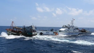 Хайфон активизирует усилия по отмене желтой карточки за ННН-промысел