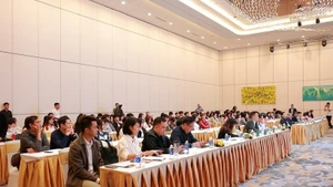 Вид конференции по применению технологий для разработки базы данных цифровой торговли, состоявшейся 1 ноября 2025 года. (Фото: ВИА)