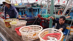 Рыболовное судно заходит в рыболовный порт Нгокхай, квартал Дошсон, город Хайфон. (Фото: ВИА)