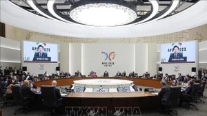 Президент Лыонг Кыонг принял участие в Саммите 32-го Форума APEC (Фото: ВИА)