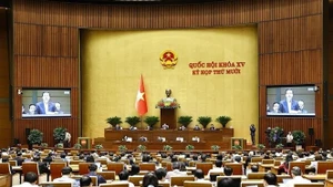 Общий вид 10-й сессий. (Фото: ВИА)