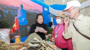 Посетители знакомятся с отечественной продукцией на Осенней ярмарке 2025 года. (Фото: ВИА)