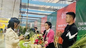 Зелёные хлопья риса и молоко привлекают посетителей (Фото: ВИА)