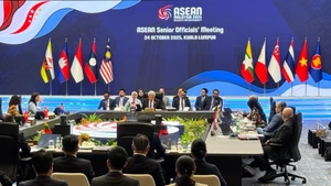 «Краски Вьетнама, интегрирующегося в мир» – послание единства в многообразии