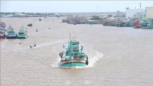 Рыболовные суда в устье реки Док, провинция Камау. (Фото: ВИА)