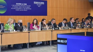 Заместитель министра иностранных дел Нгуен Минь Ханг на рабочей сессии.
