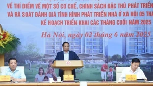 Премьер-министр Фам Минь Тьинь председательствует на конференции. Фото: Чан Хай