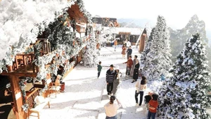 Романтичный Далат окрашивается в яркие рождественские краски в последние дни года. (Фото: baodautu.vn)