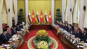 Президент Лыонг Кыонг проводит переговоры с Султаном Брунея-Даруссалама Хаджи Хассаналом Болкиахом. (Фото: ВИА)