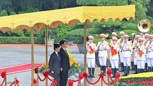 Президент Лыонг Кыонг председательствует на церемонию встречи Султана Брунея-Даруссалама Хаджи Хассанала Болкиаха. (Фото: Тхюи Нгуен)